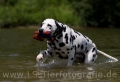 27 Wasseraction